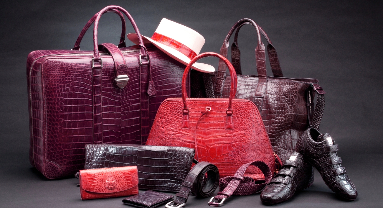 Product and Fashion Shoot in Agra and Lucknow